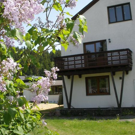 Ferienwohnungen Federleicht Titisee-Neustadt Dış mekan fotoğraf